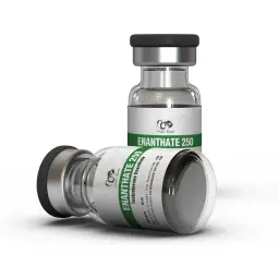 Enantat 250 mg - Testosterone Enanthate by Dragon Pharma, Europe Enantat 250 mg - Testosterone Enanthate by Dragon Pharma, Europe